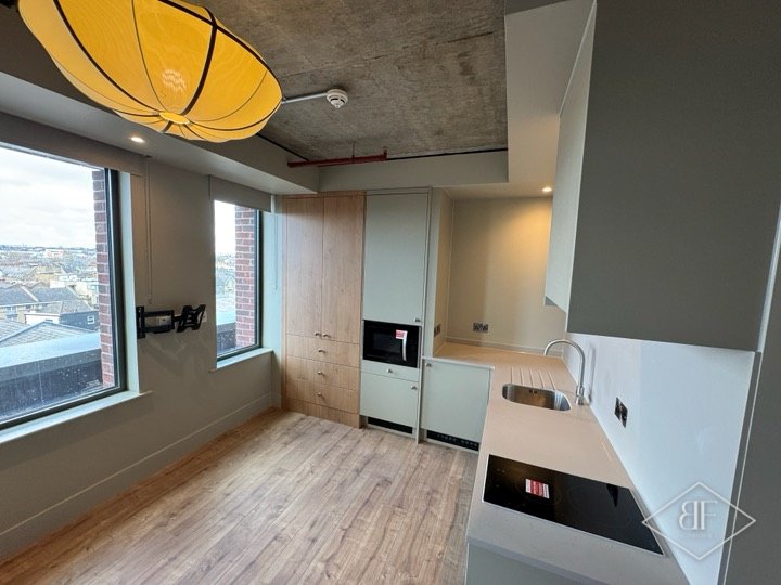 Studio apartment kitchen corner with window, hob and sage wall cabinets, finished