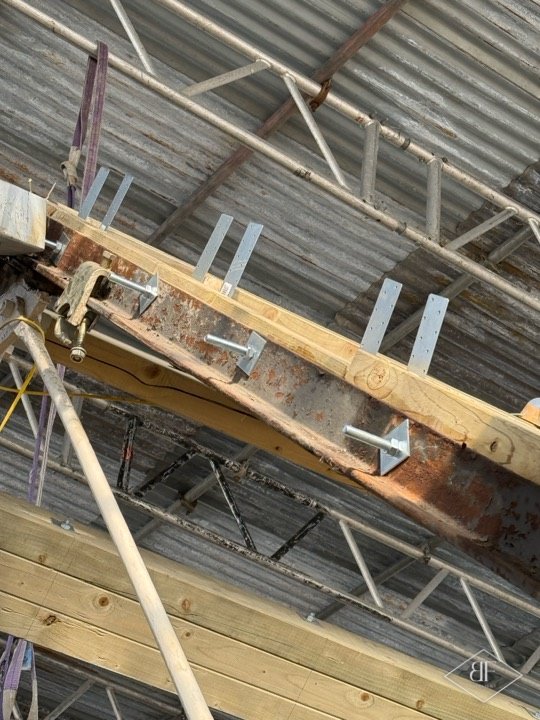 Old beam strapped with metal plates beside fresh timber joists in the roof